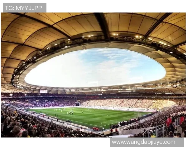 足球巨星成长之路：从默默无闻到世界瞩目球场传奇的奋斗历程